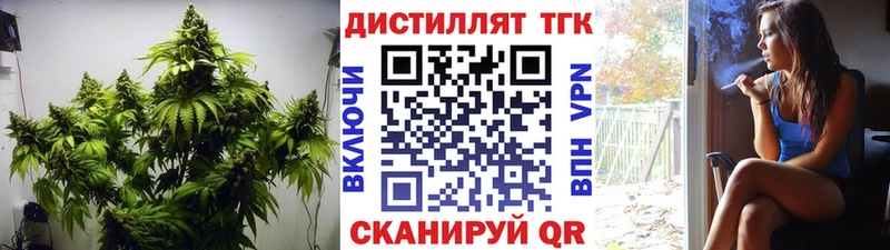 OMG вход  Кувшиново  ТГК жижа 