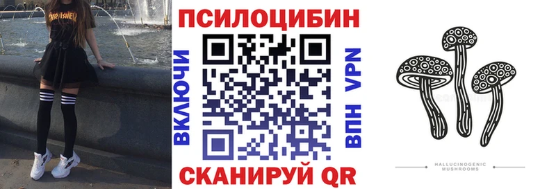 Псилоцибиновые грибы Psilocybine cubensis  Кувшиново 